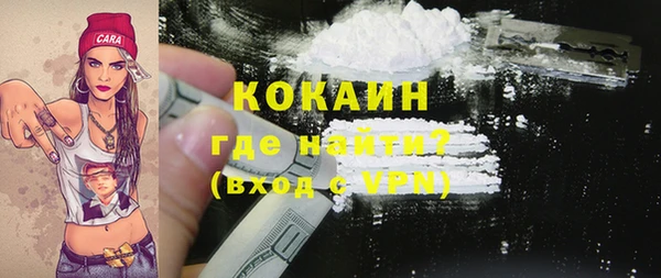 кокс Няндома