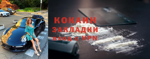 кокс Няндома