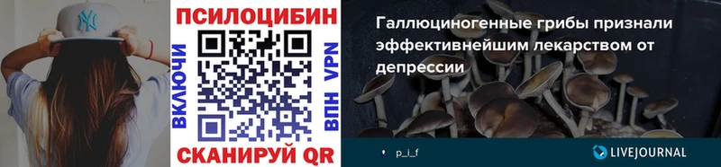 Галлюциногенные грибы MAGIC MUSHROOMS  Тайга 